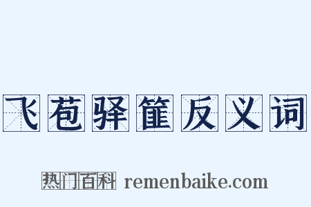 飞苞驿篚反义词是什么意思的图片
